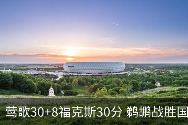 莺歌30+8福克斯30分 鹈鹕战胜国王晋级半决赛